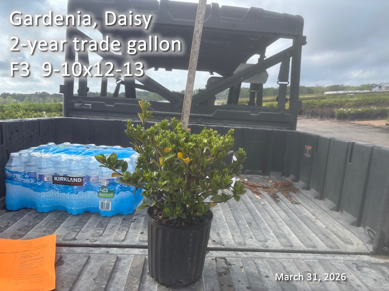 gallery/gdai2yt f3 mar31.jpg